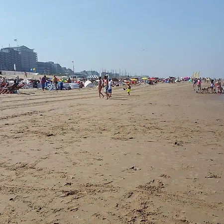 Holiday Beach Breeze *
